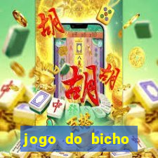 jogo do bicho crash bingo